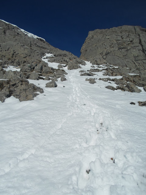 José Luis Domínguez Cansinos Aviados Peña Galicia Aviados 27012015