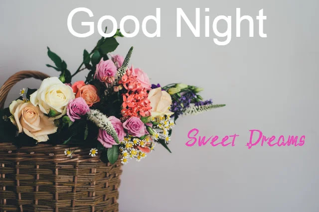 Good Night Flowers HD Images Collection Download Good Night Flowers HD Images Collection Download