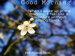 morning quotes billionaire lovely wake feeling such makes
