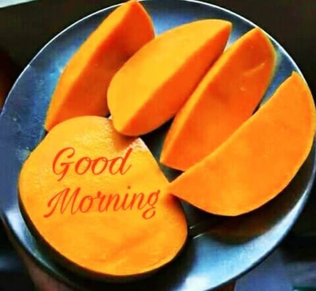 Good Morning Images For Whatsapp Good Morning Images For Whatsapp
