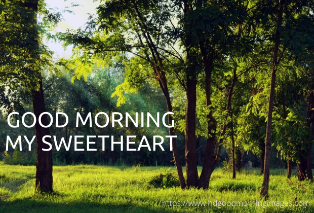 Good morning sweetheart pictures Good morning sweetheart pictures
