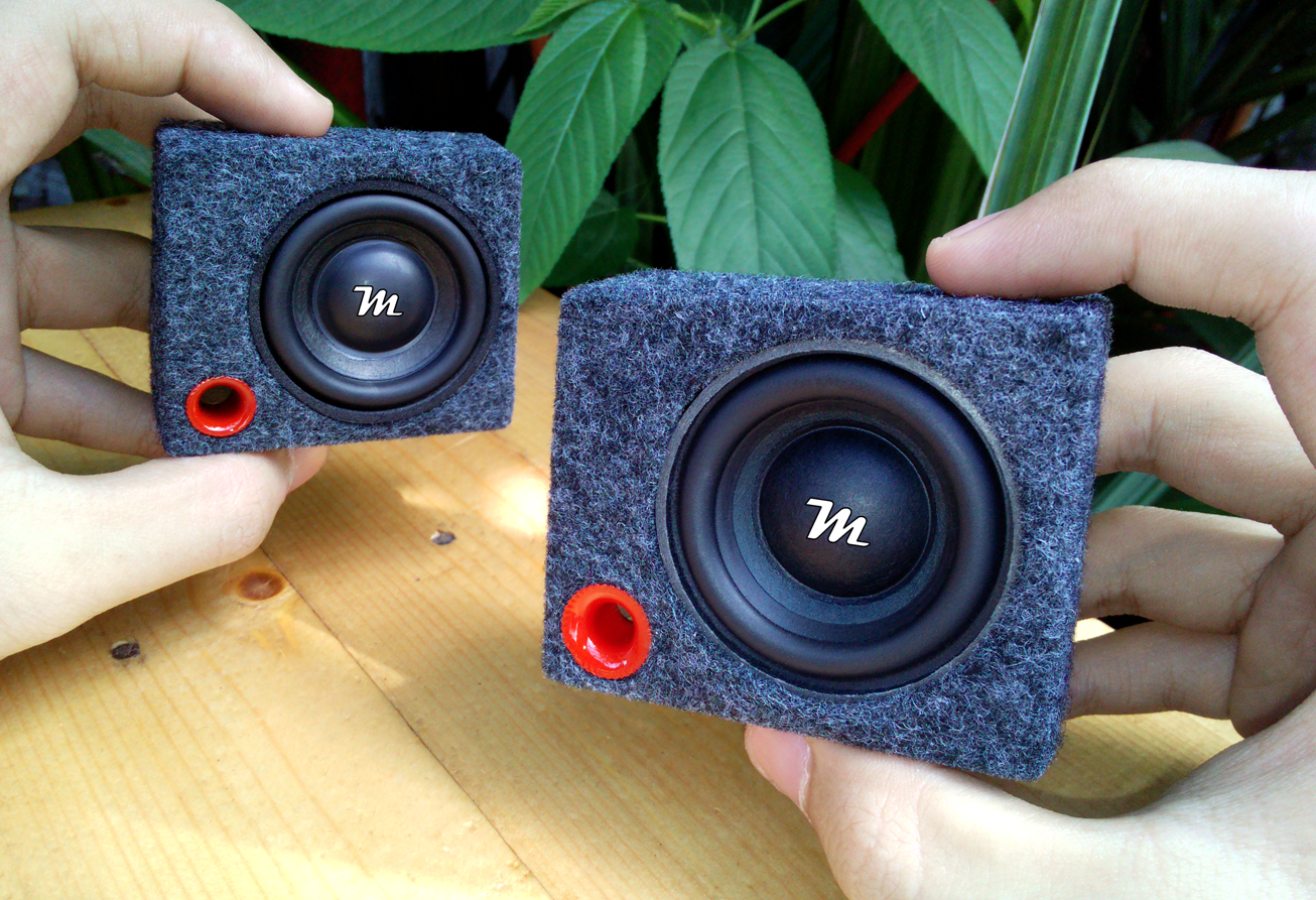DIY Mini Subwoofer Insane Hard Bass Test Mini Subwoofer