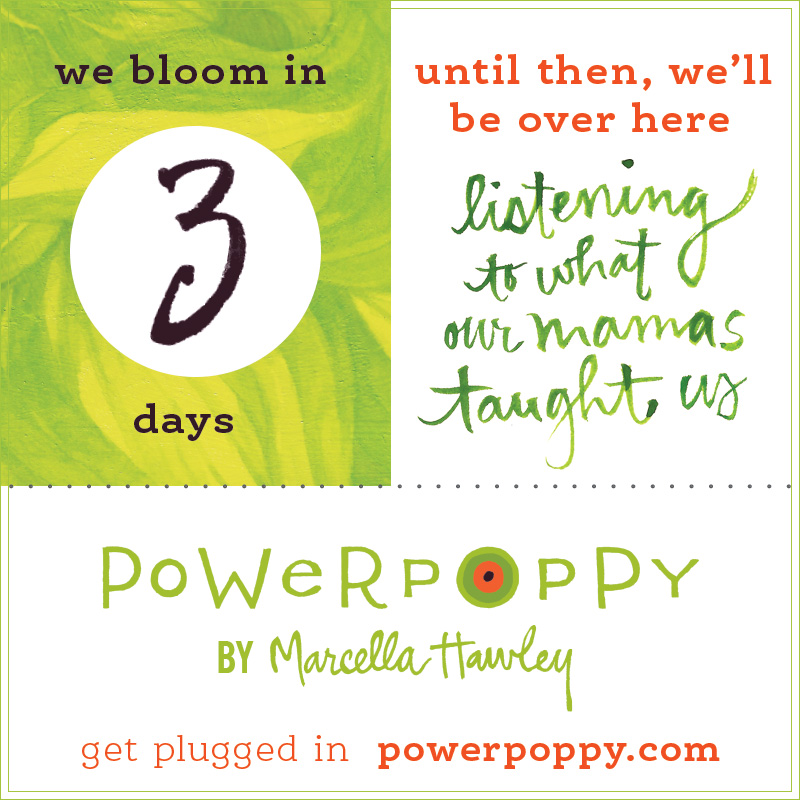 http://powerpoppy.com/