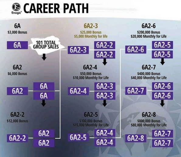 Enagic Compensation Plan