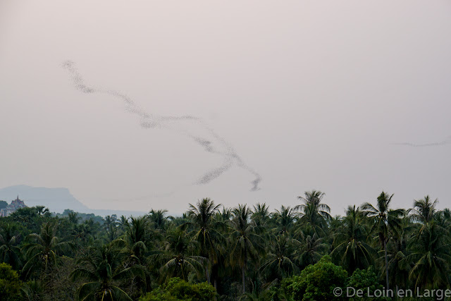 Rivière de chauves-souris - Campagne de Battambang - Cambodge