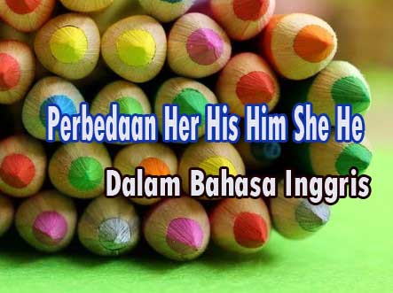 Perbedaan Penggunaan Her His Him She He Dalam Bahasa Inggris Rinjani School