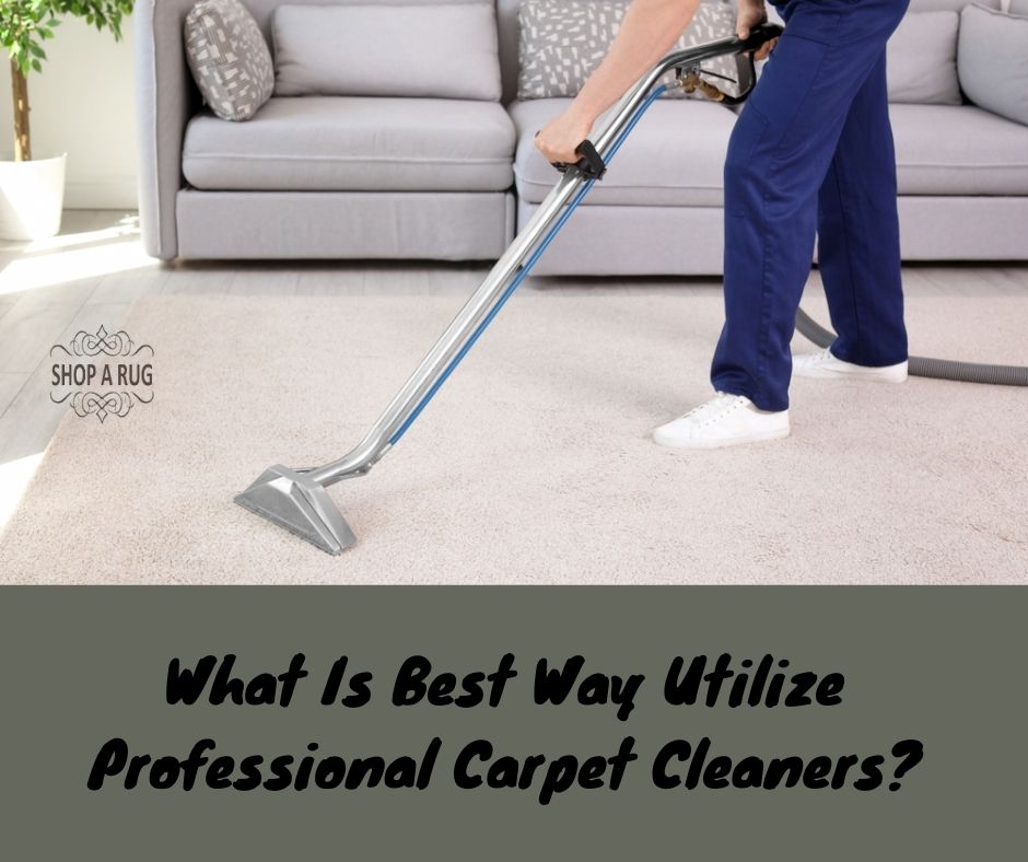 What Is Best Way Utilize Professional Carpet Cleaners?