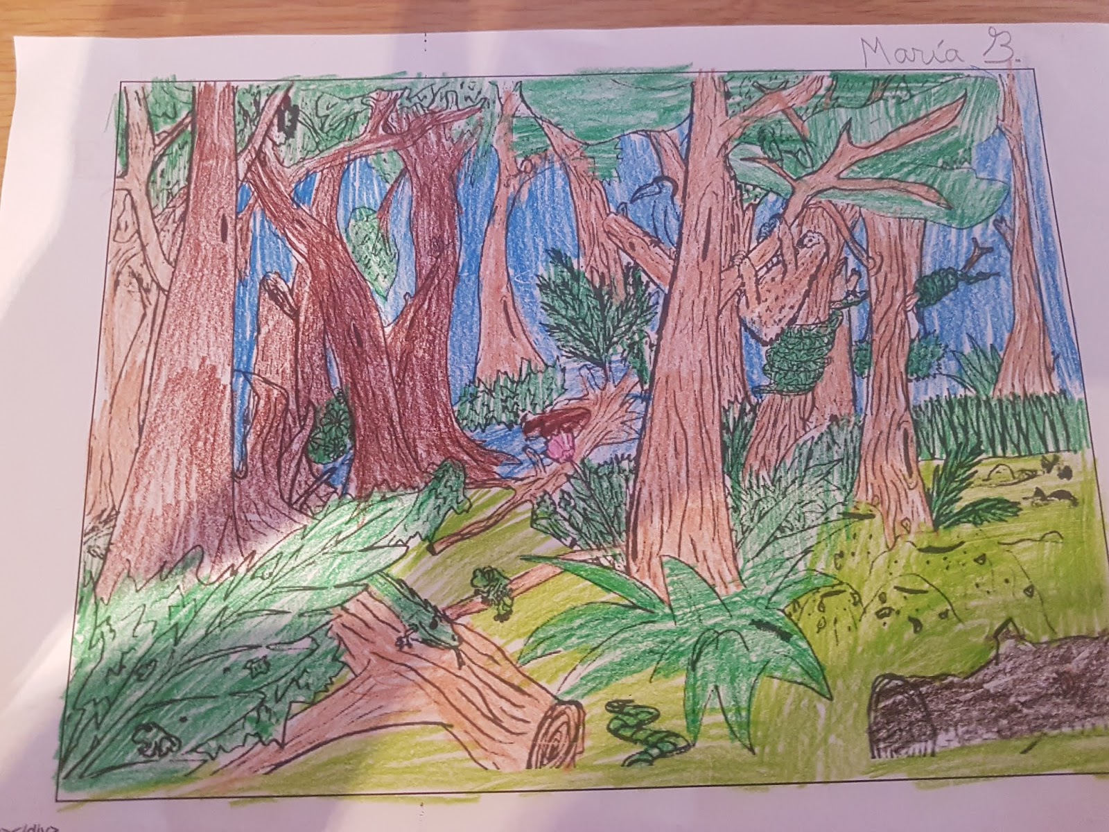 Profe de garda ECOSISTEMA BOSQUE, INGLÉS E EDUCACIÓN FÍSICA