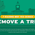 7 Reasons Why You Should Remove a Tree #infographic
