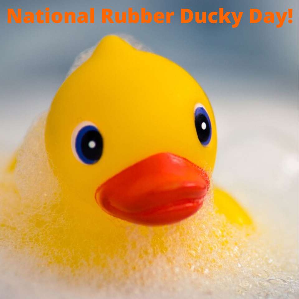 National Rubber Ducky Day Wishes Images download
