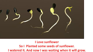 Free story for Muslim kids