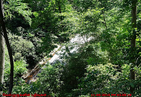 Sliding Rock Helton Creek Falls