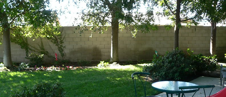 Bright Wall, Visalia - Before picture