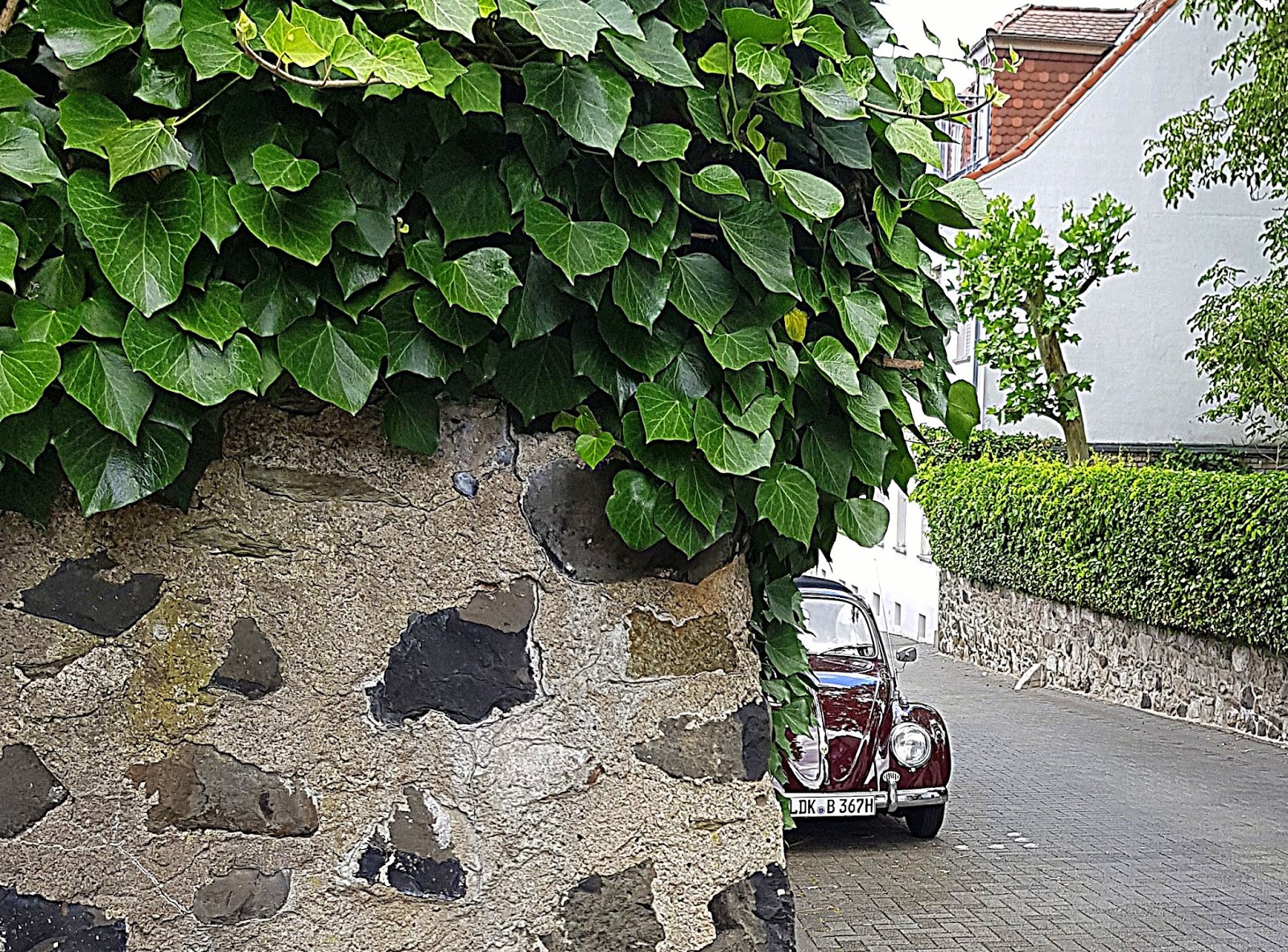 Willkommen Beim Kaferhauptquartier Juli 2019