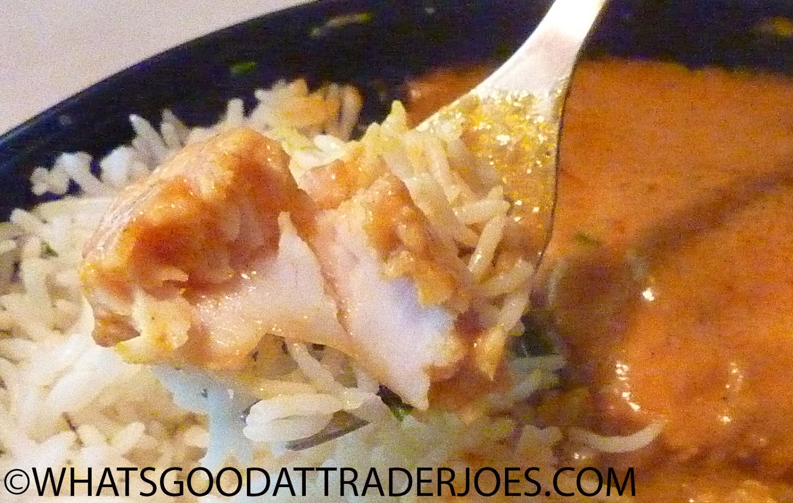 What's Good at Trader Joe's? Trader Joe's Korma Fish Curry