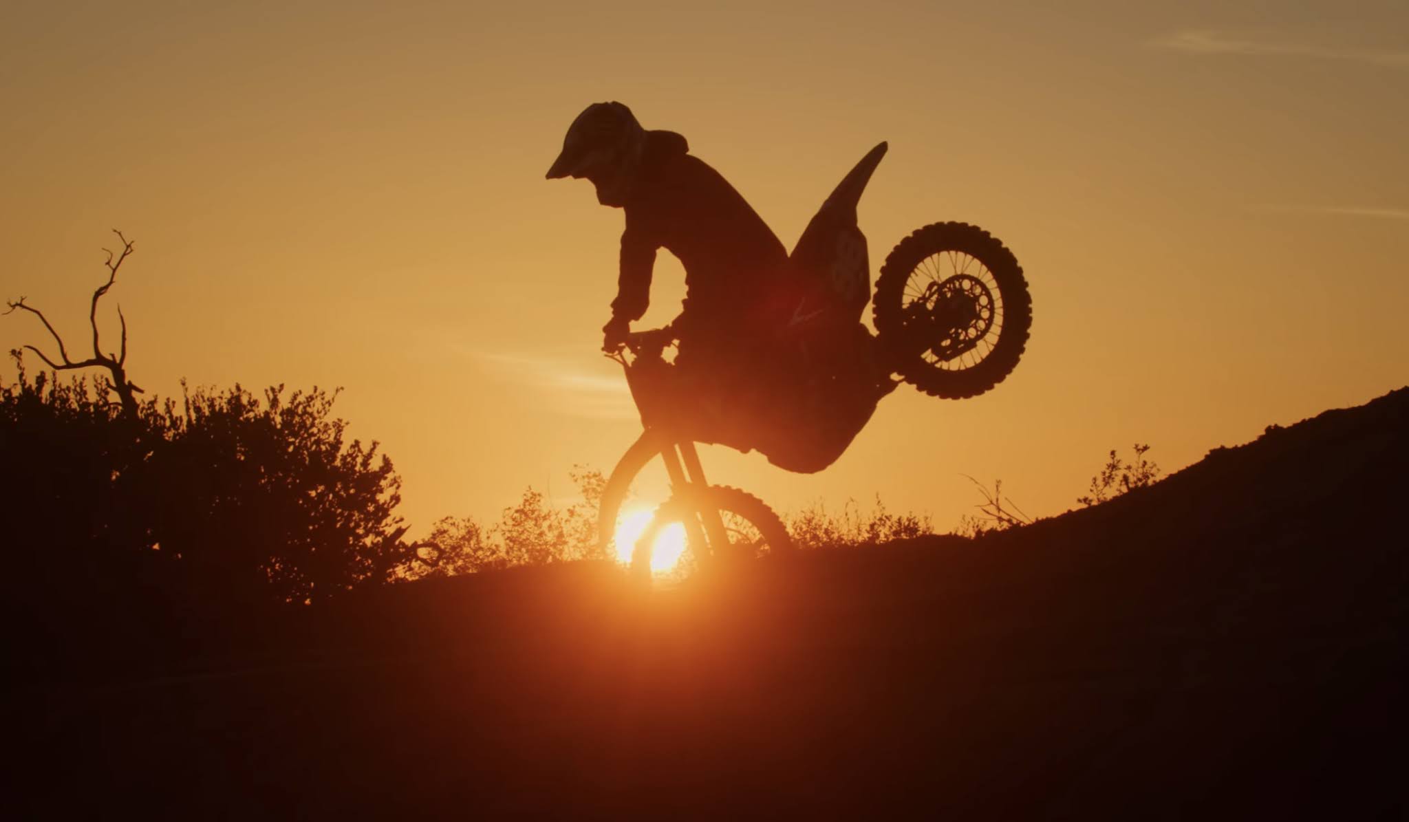 BellaBassFly Dirt Shark SLAYGROUND 3 ft. Axell Hodges