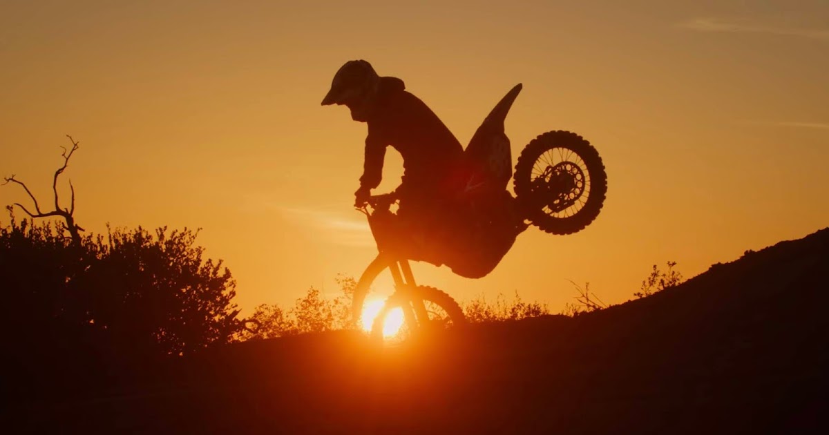 BellaBassFly Dirt Shark SLAYGROUND 3 ft. Axell Hodges