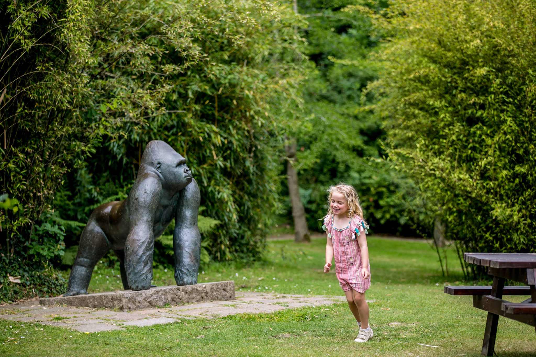 The heritage year Another Sunday visit to Jersey Zoo.