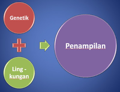 Pengertian Pemuliaan Ternak