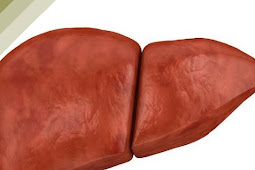 TOP 10 FOODS TO CLEANSE YOUR LIVER FROM TOXINS AND FAT
