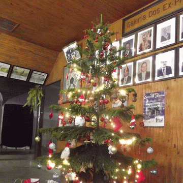 Angelina Wittmann Arte Cultura Historia E Antropologia Presente