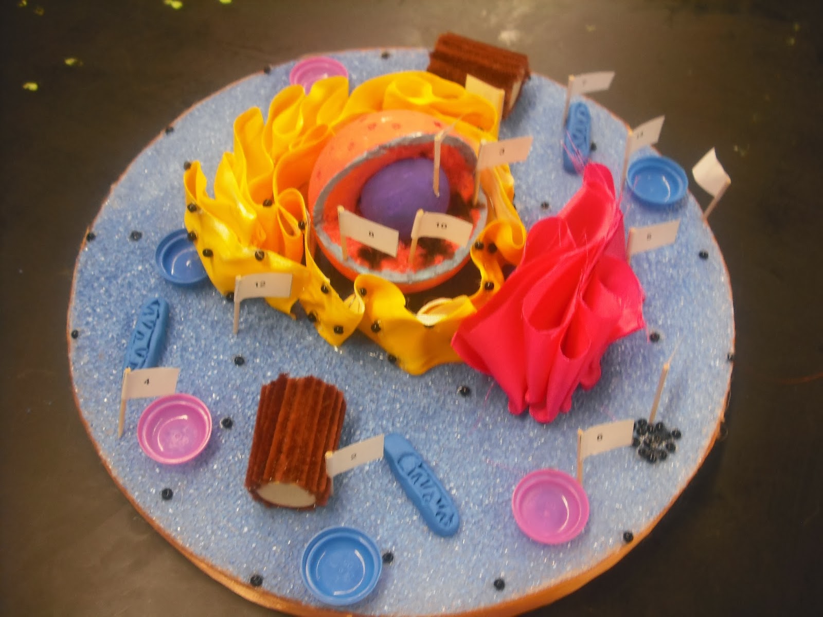 Cell Project Ideas For School Www Topsimages Com