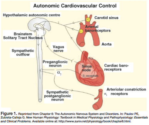 Homic Advanced Chiropractic // Master Your Brain: The Heart of the