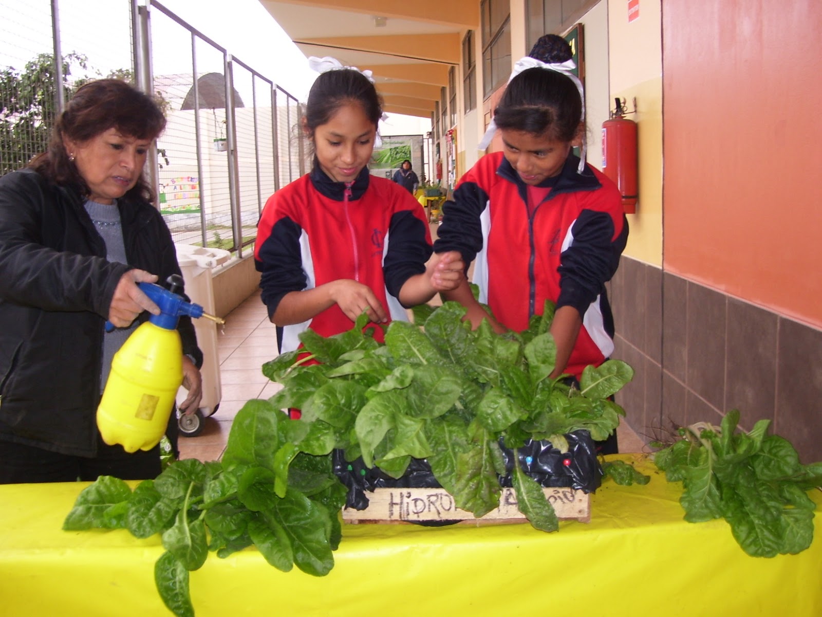 I. E. EMBLEMATICA "ISABEL LA CATOLICA" julio 2013