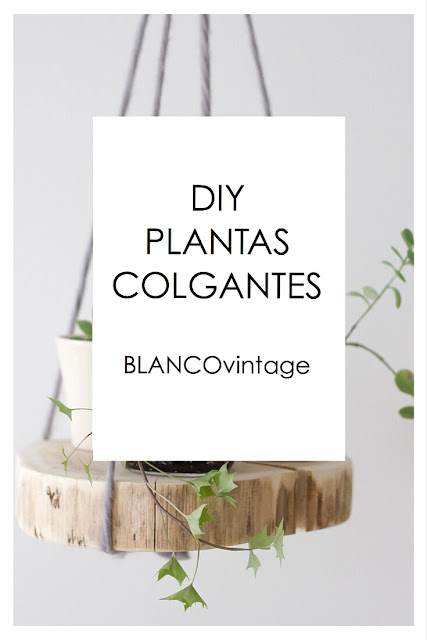 DIY PLANTAS COLGANTES