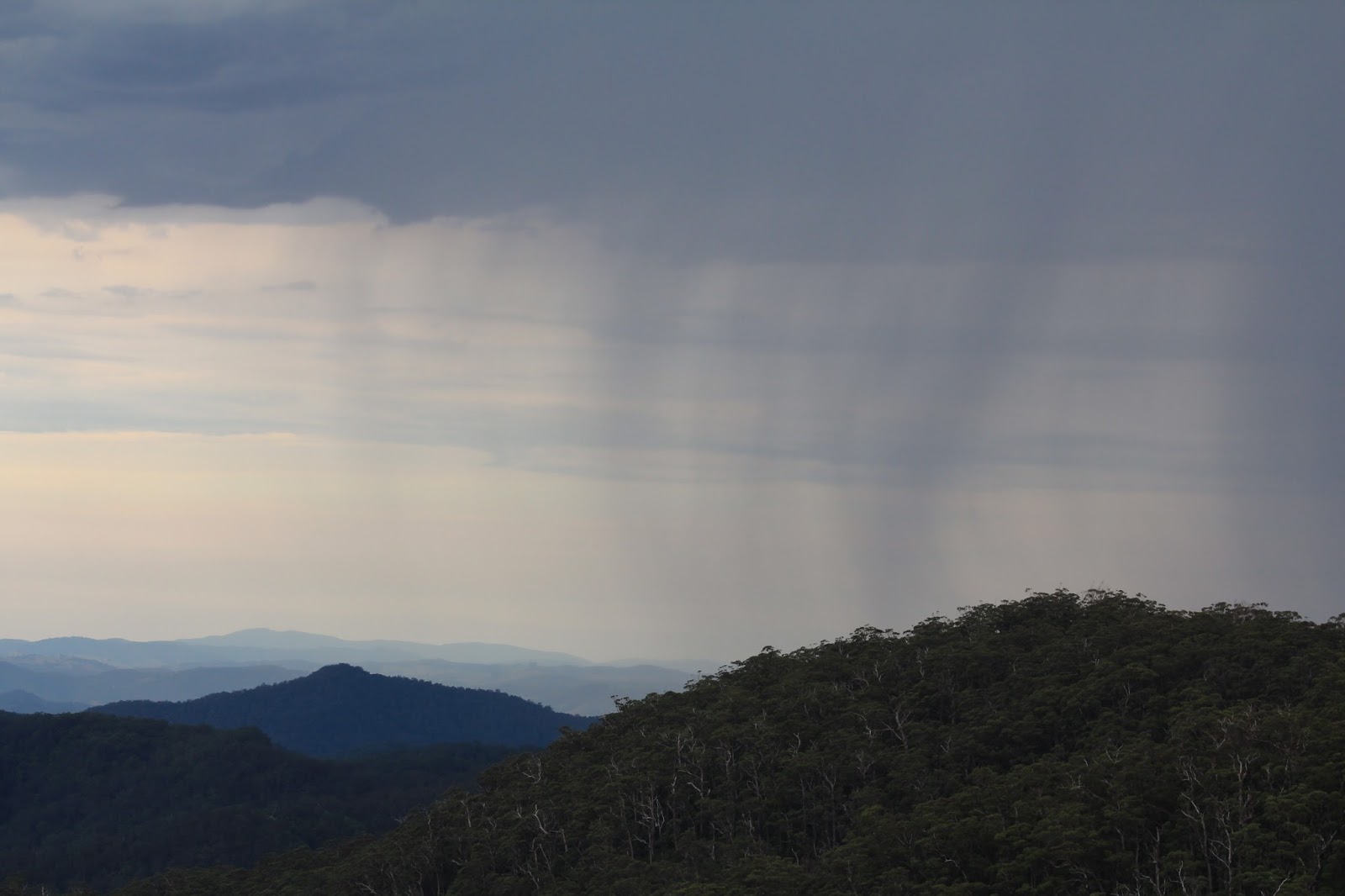 awildland Gloucester Falls Barrington Tops National Park