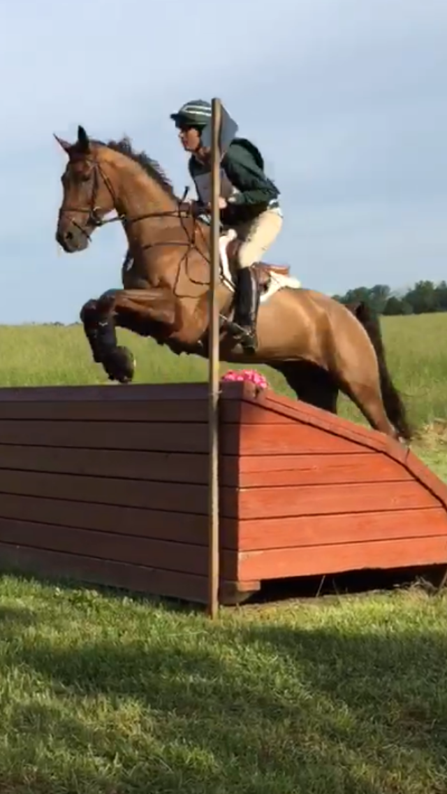 Woodstock Eventing Virginia Horse Trials International