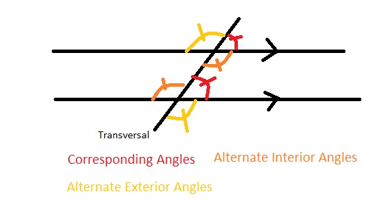 Sophomore Year : Geometry