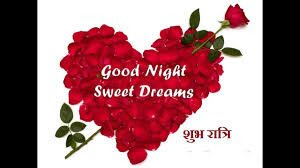 good night good night