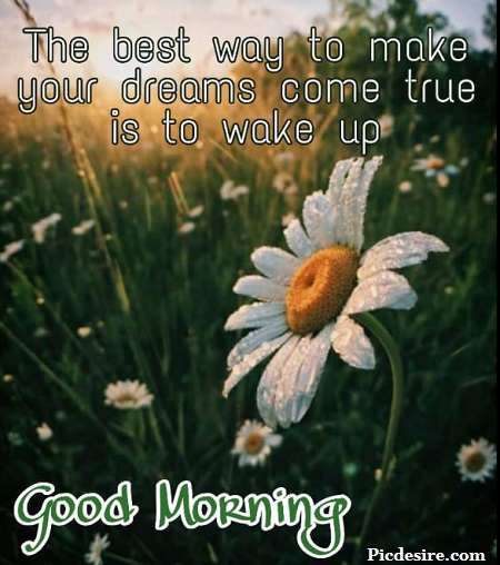 50 Beautiful Good Morning Quotes and Saying 50 Beautiful Good Morning Quotes and Saying
