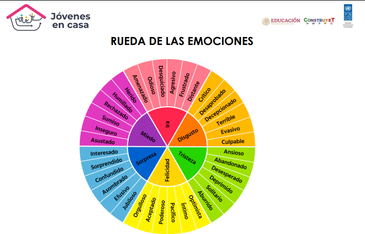 Como gestionar las emociones pdf