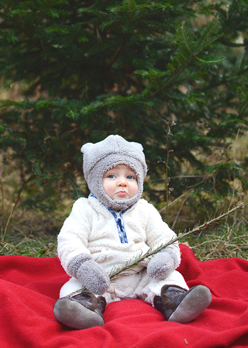 2017 Christmas Tree Hunting | My Darling Days 2017 Christmas Tree Hunting | My Darling Days