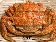 [10000ダウンロード済み√] 栗 毛ガニ 124351-栗毛ガニ ゆで方