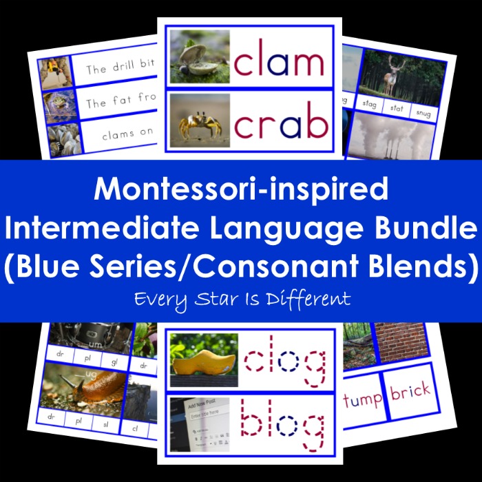 Montessori-inspired Intermediate Language Bundle (Blue Series/Consonant Blends)