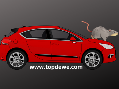 Cara mengusir tikus dari ruang mesin mobil