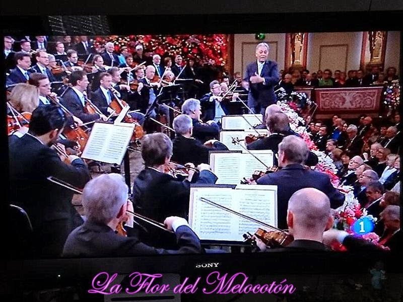 Concierto Año Nuevo 2015