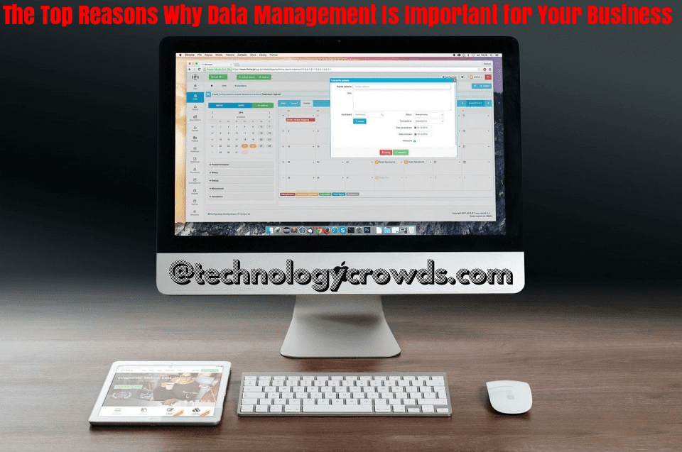 Reasons Why Data Management Is Important for Your Business