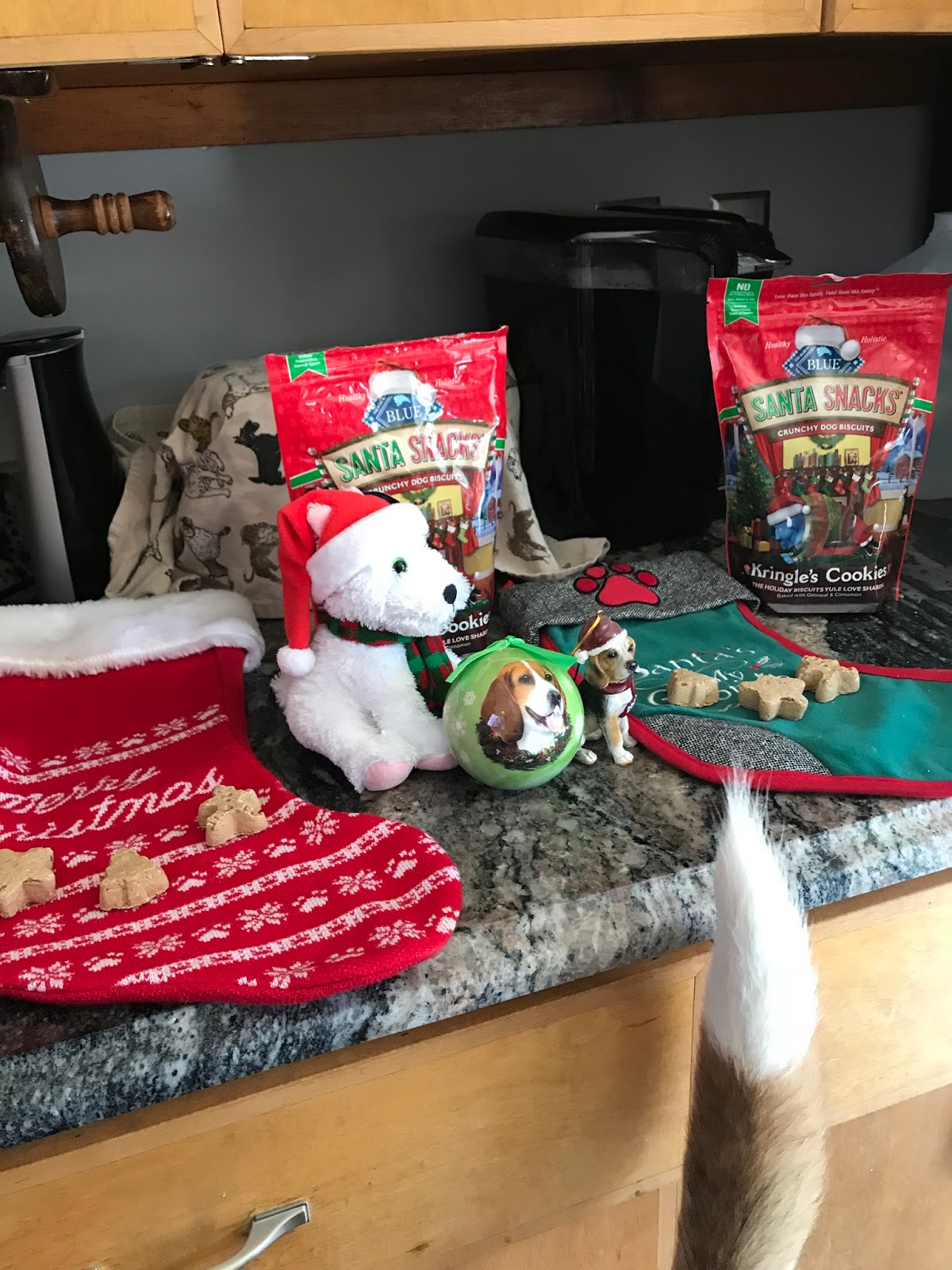 Traveling Dog Lady DIY Holiday Treat Bag with BLUE Santa Snacks from