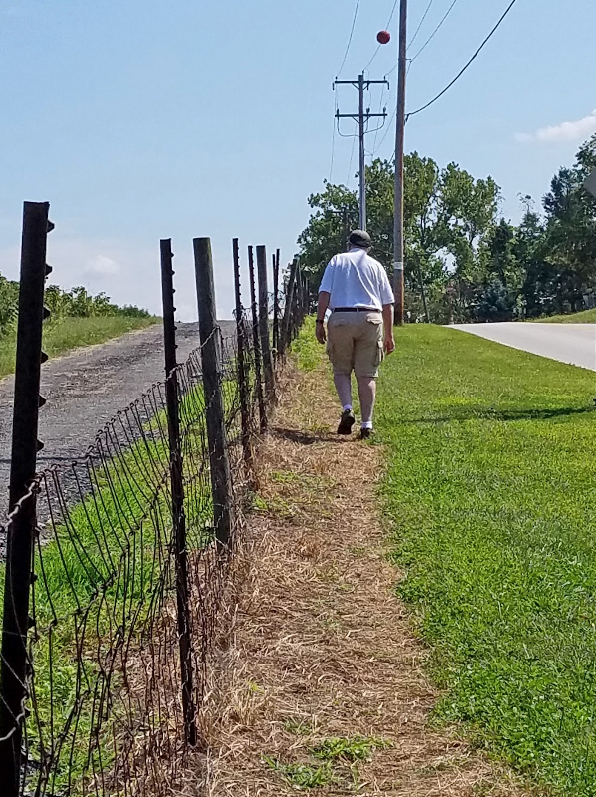 Jax Stumpes Middletown Pa Linvill Trail 9 9 10 2019