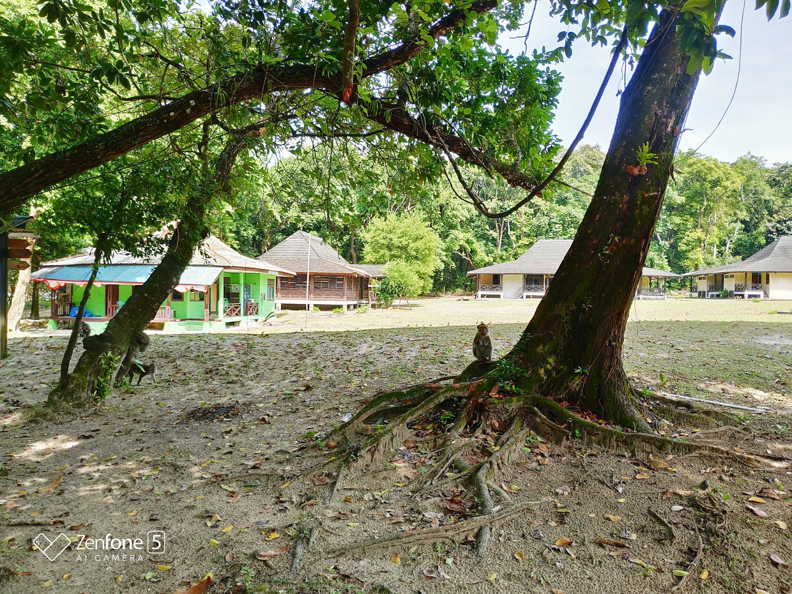 Keindahan Pulau Peucang, Taman Nasional Ujung Kulon | Sang ...