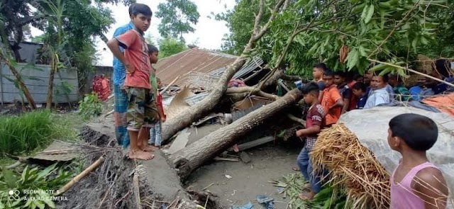 নীলফামারী সদরে কালবৈশাখী ঝড়ে গাছ পড়ে  ঘর চাপায় স্বামী স্ত্রী ও বজ্রপাতে এক নারীর মৃত্যু