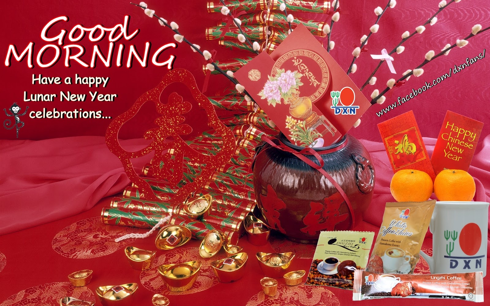 Welcome to the DXN Fans Blog