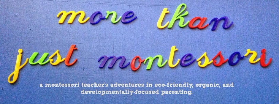 More Than Just Montessori