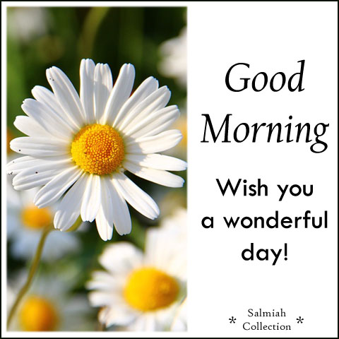 Good Morning Wish 22 Wish You A Wonderful Day Salmiah Collection