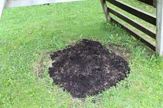 Here's The Scoop: Currently: May 2021