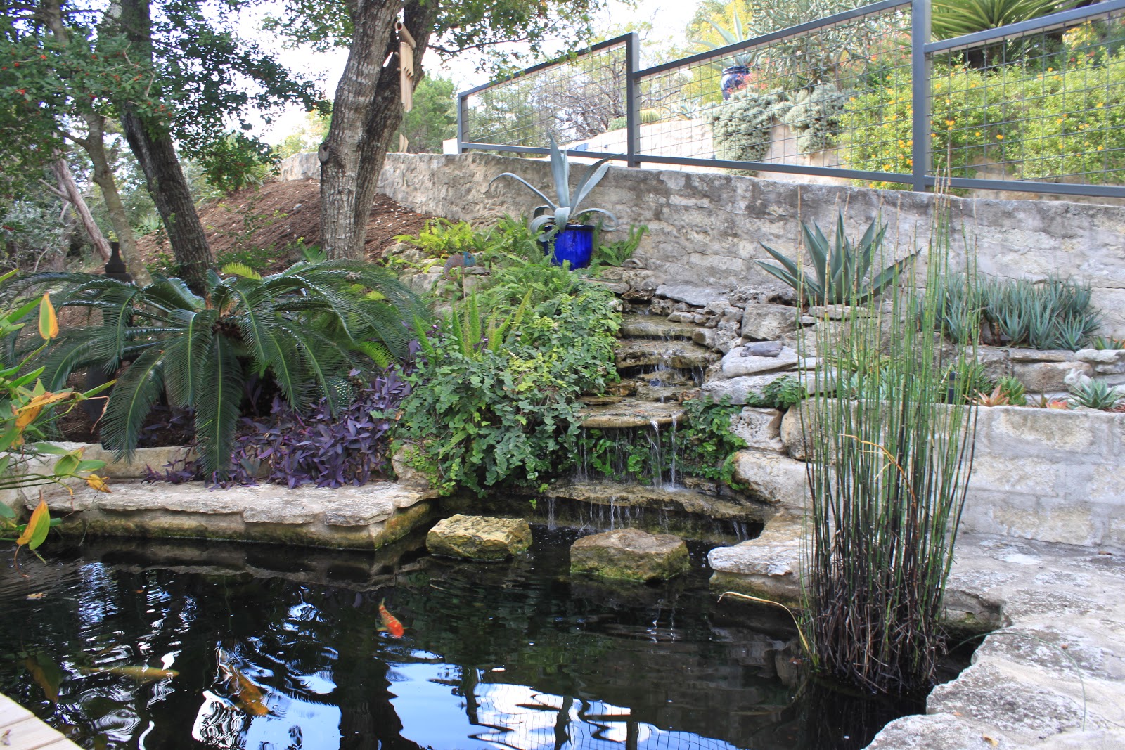 the office koi pond halloween scene 3
